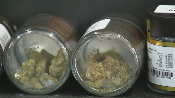 More seniors being hospitalized due to marijuana use