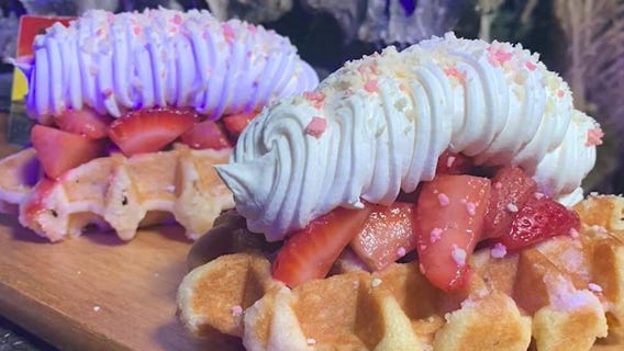 Universal Orlando's Mardi Gras: Foodie guide to this year's International Flavors of Carnaval