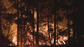 Raging brush fire inching closer to Ormond Beach homes