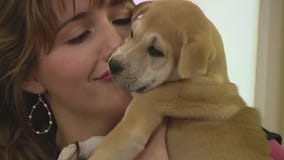 Puppy grams for Valentine's Day