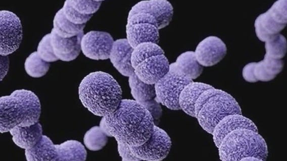 Strep A: How do children get it, and what should parents know?