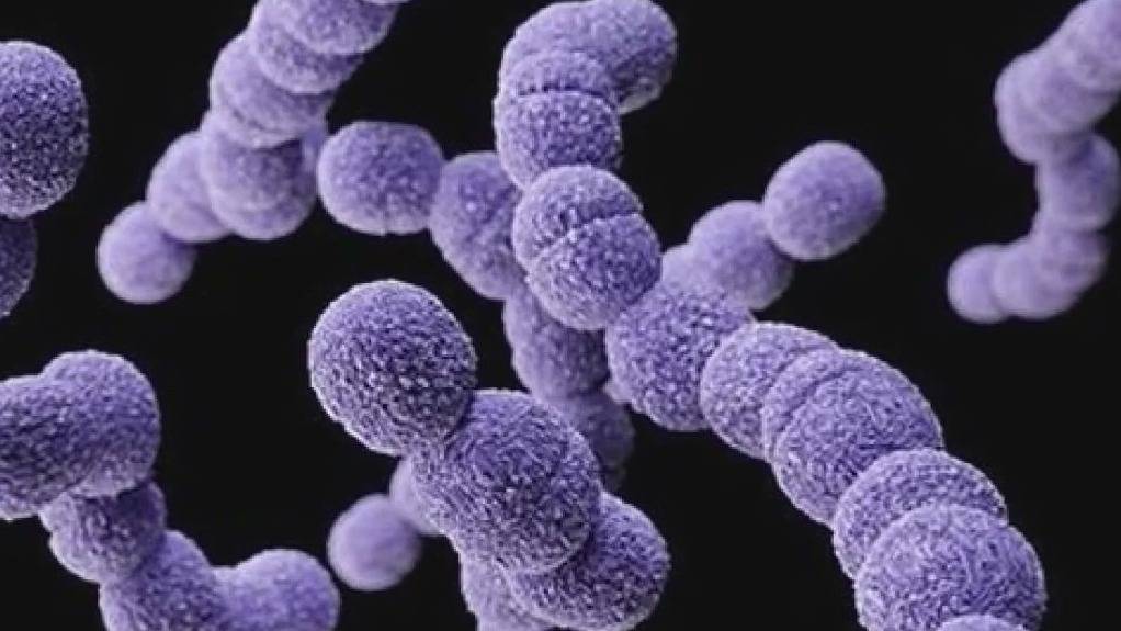 Strep A: How do children get it, and what should parents know?