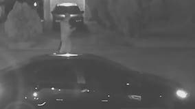 Who killed Ricardo De Lara? Is this a new clue?