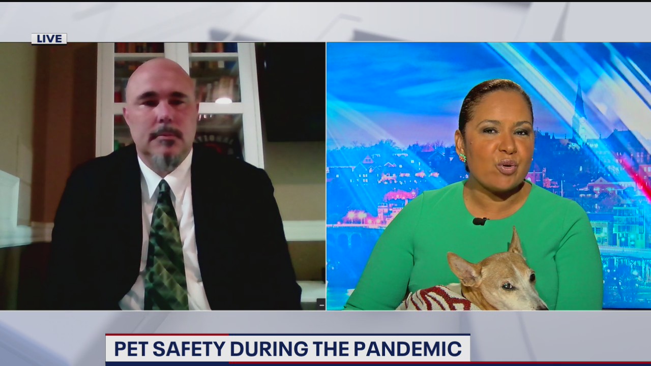 Pet safety during the COVID-19 outbreak