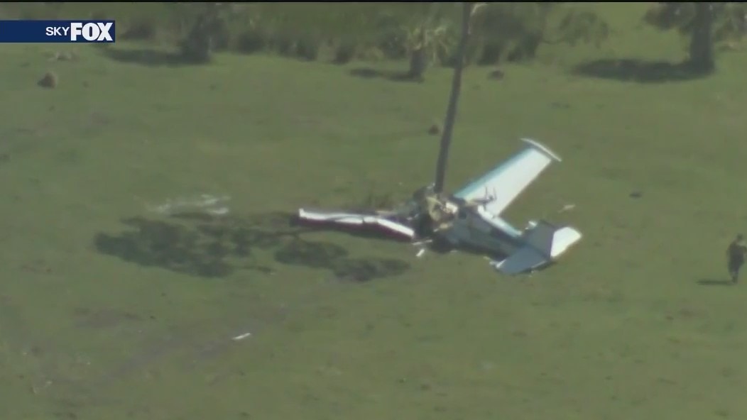 Pilot survives Florida plane crash