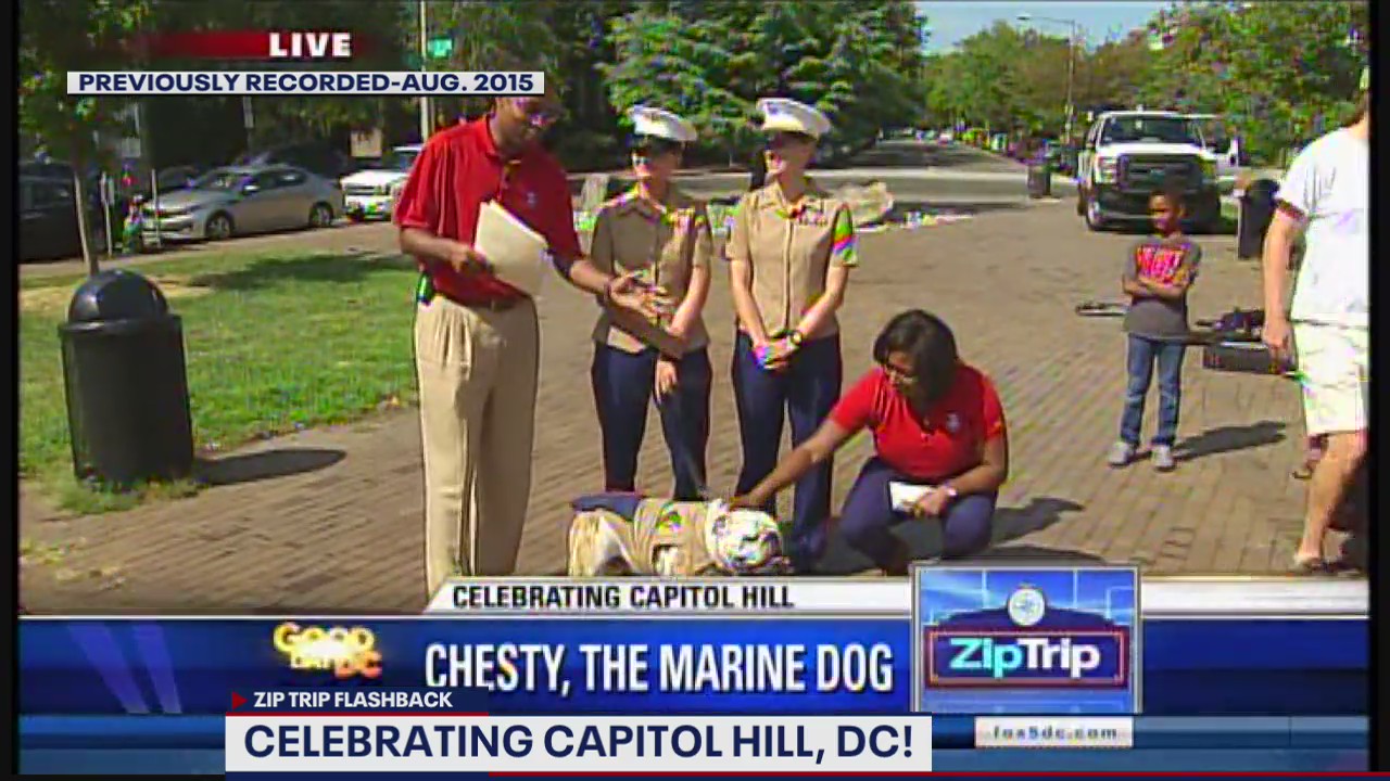 FOX 5 Zip Trip Flashback Capitol Hill: Chesty the Marine Dog