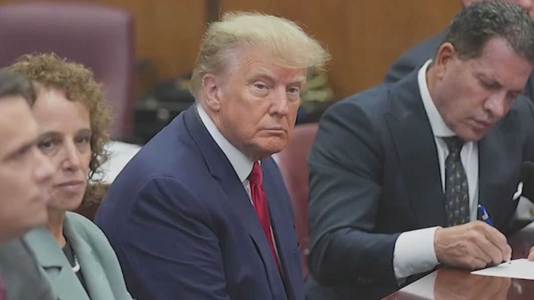 Donald Trump pleads not guilty to 34 felony counts