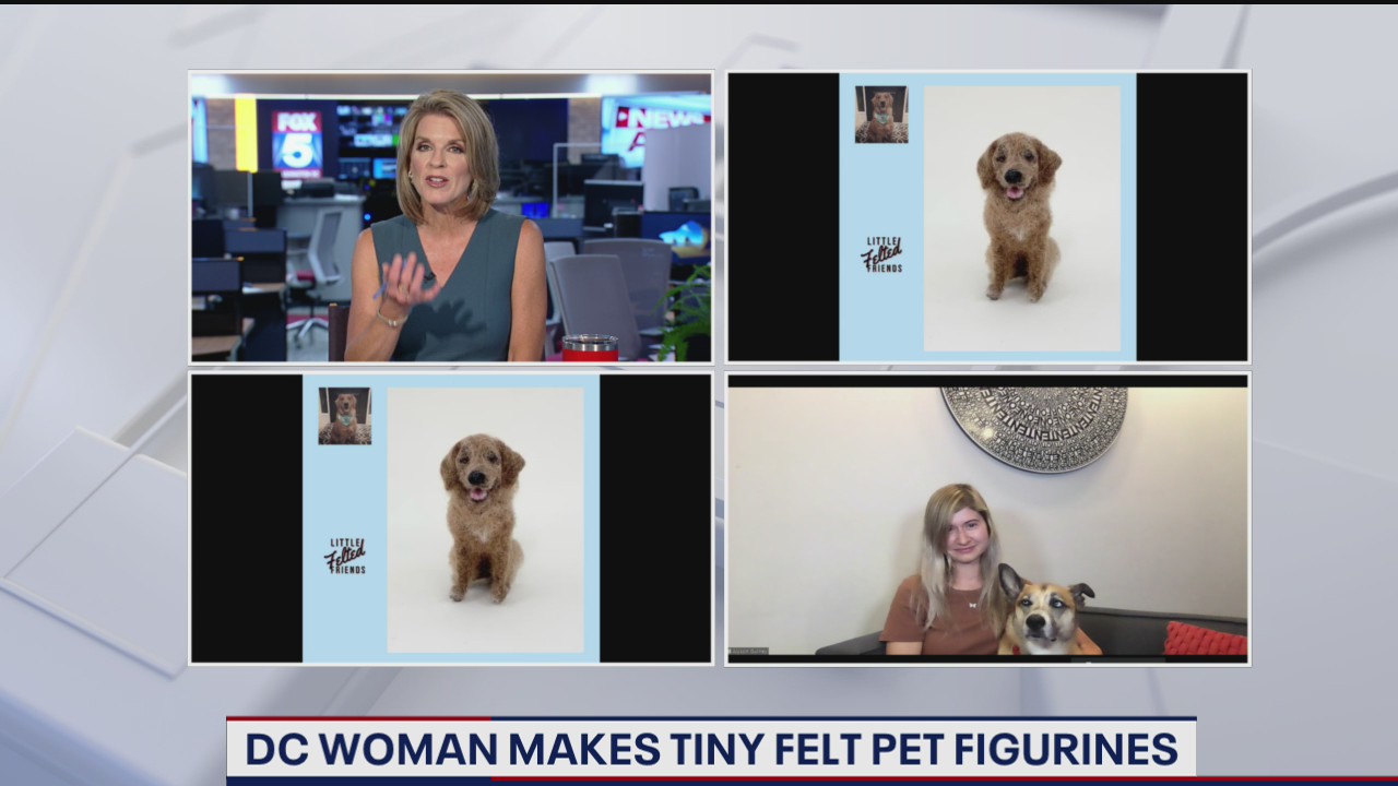 DC woman makes tiny felt pet figurines