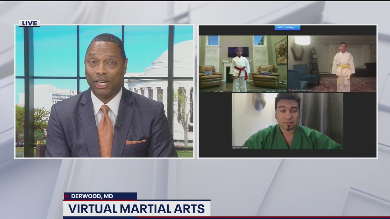 Virtual martial arts classes go on amid COVID-19