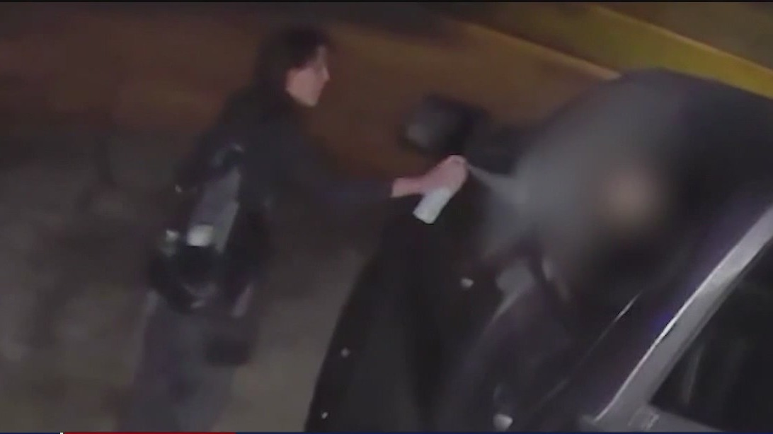 Lake County woman sprayed swastika on neighbors car, smashed his window