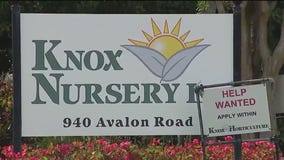 Winter Garden security guard pistol whipped