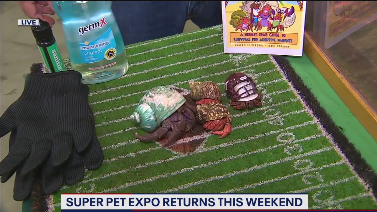 Super Pet Expo returns this weekend
