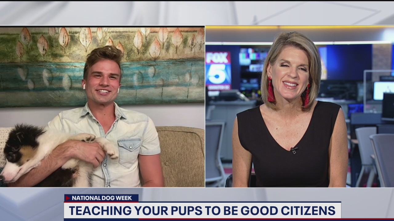 Teaching your pups to be good citizens