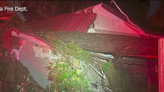 Teen trapped underneath tree rescued