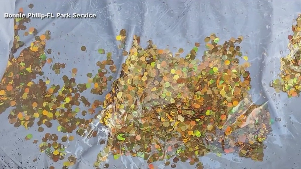 How glitter tubes are dangerous for manatees