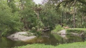 Florida boy bitten by alligator in creek