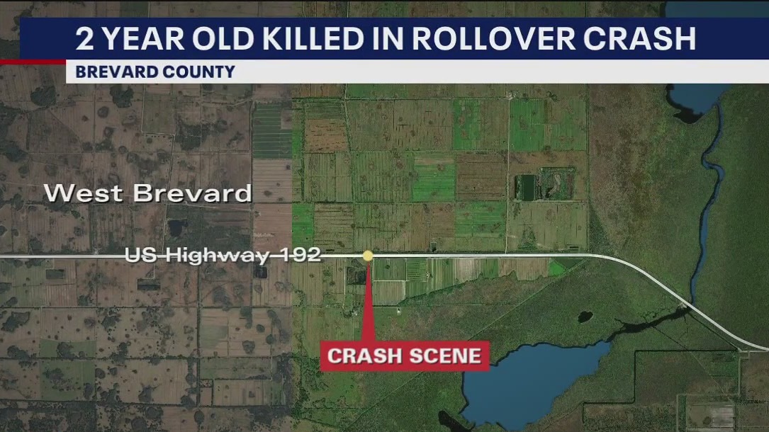 Toddler killed in crash in Brevard County | FOX 35 Orlando