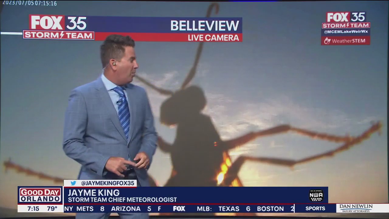 Meteorologist startled by wasp on camera