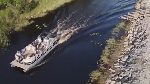 Alligator Lakes boat tour: what to expect