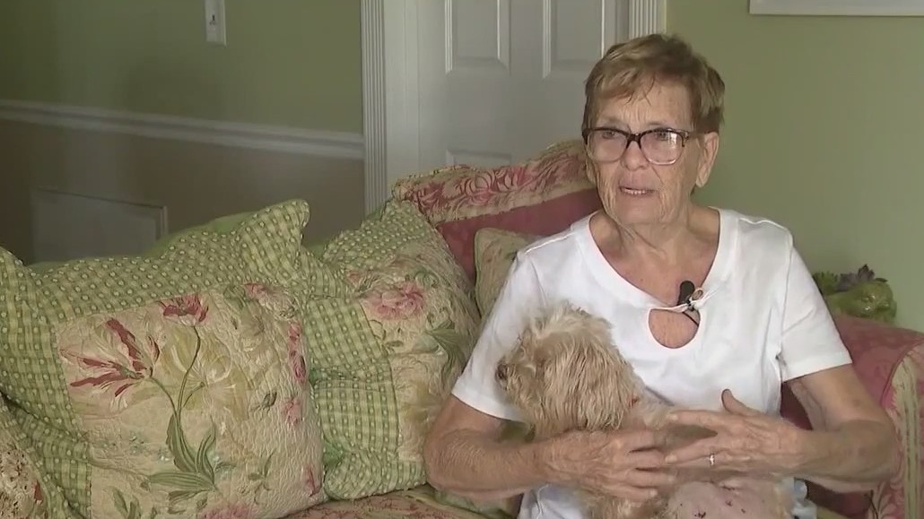 Woman says dogs attacked her and pet dog | FOX 35 Orlando