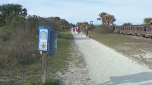 Volusia County wants dog-friendly beach