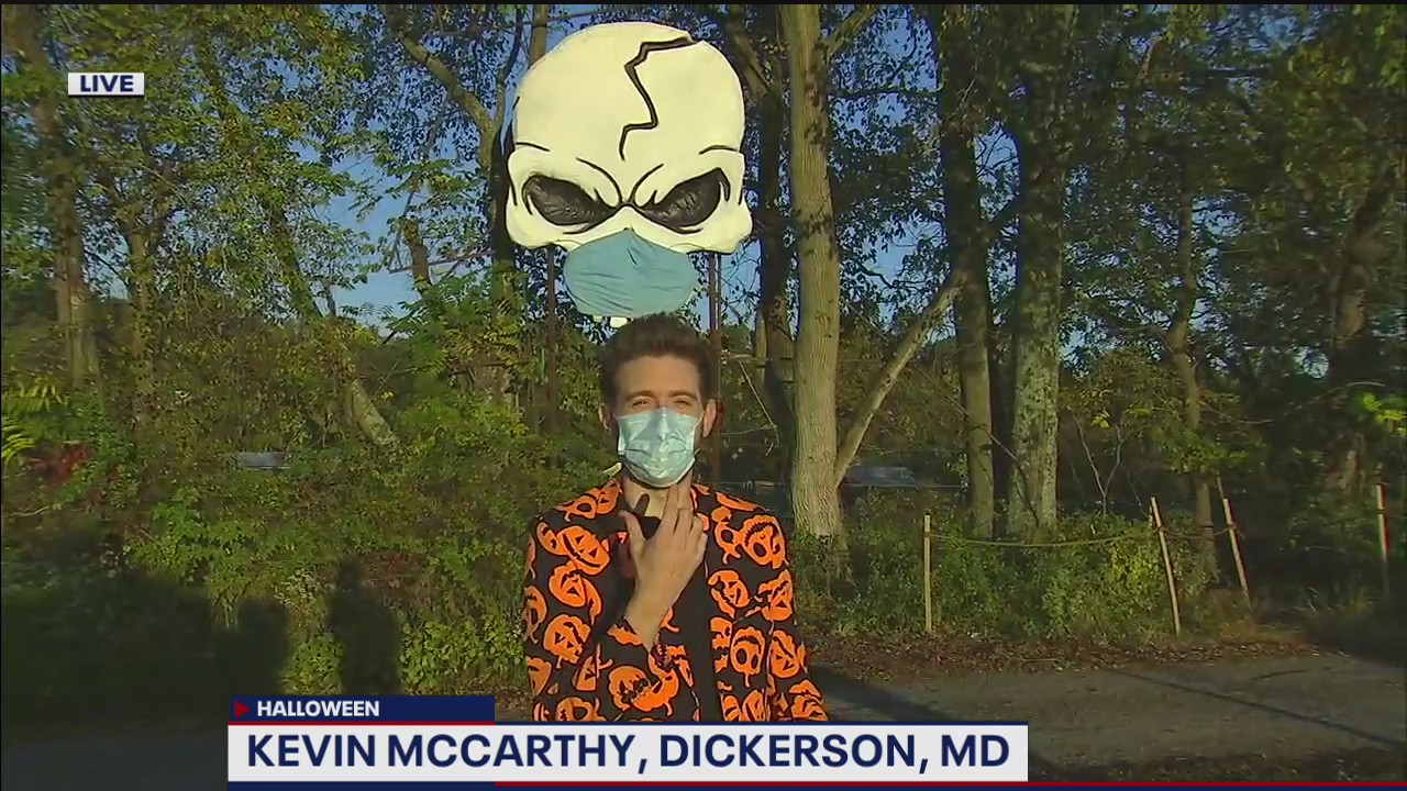 The history of Markoff's Haunted Forest!