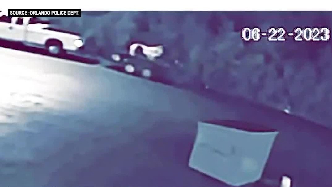 Horse stolen from trailer in Orlando