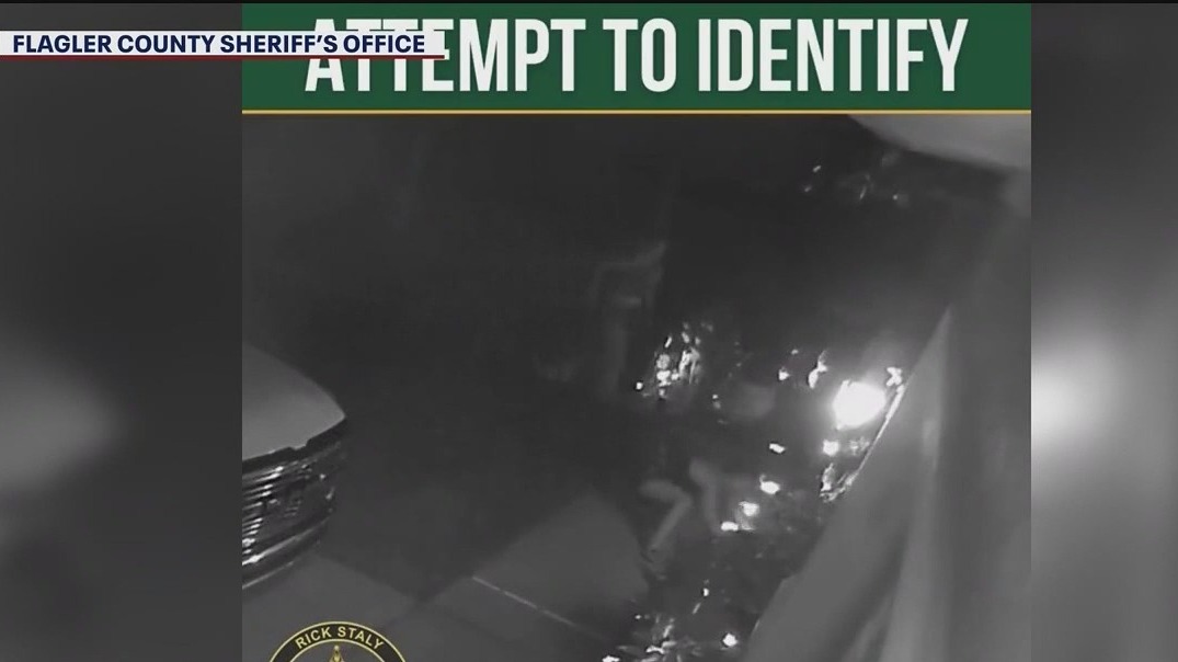 Two woman stole peacocks from front of home