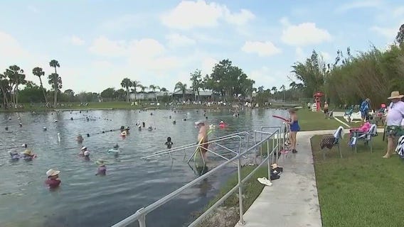 Recharge at Warm Mineral Springs Park