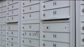 Mail being swiped in Altamonte Springs