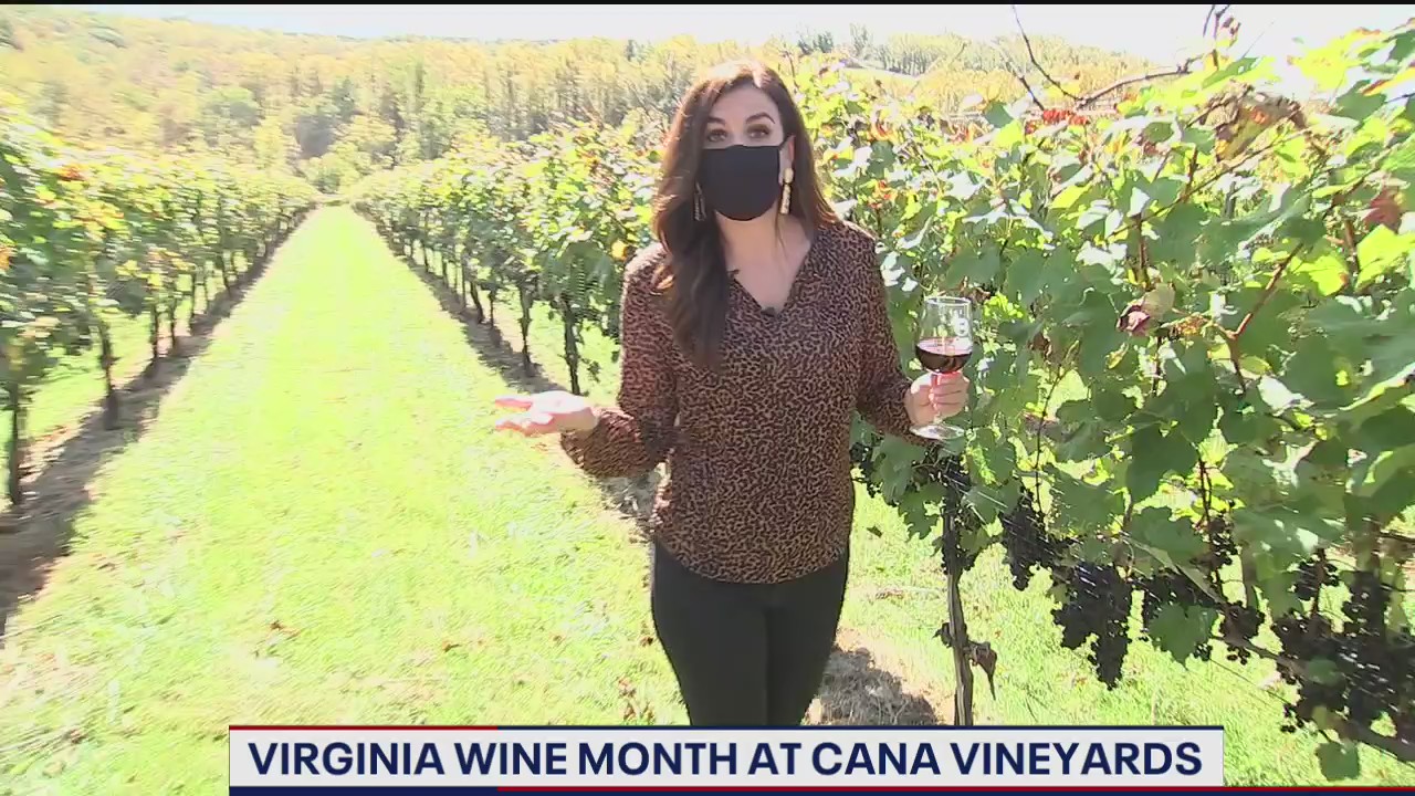 Virginia Wine Month at Cana Vineyards