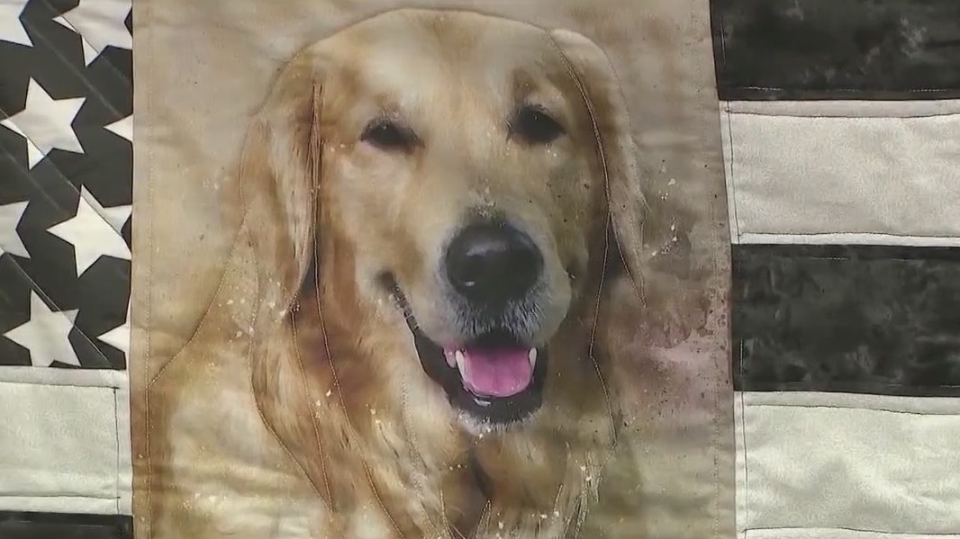 Seminole County Sheriff's Office K-9 honored