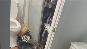 Woman's home ransacked by thieves