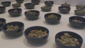 Recreational pot could be on 2024 ballot