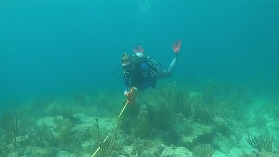 Water at tip of Florida hits hot tub level