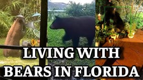 When Florida Attacks: How to live with bears