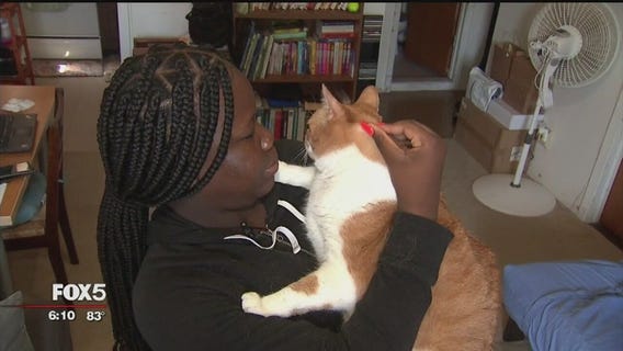 Can having a pet provide mental health benefits for teens?