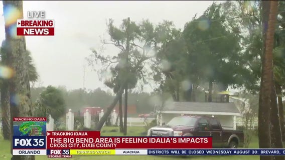 Florida hotel loses trees in Hurricane Idalia