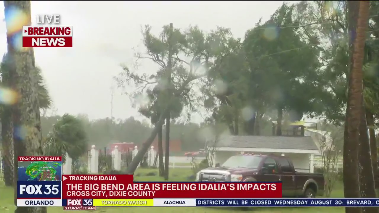 Florida hotel loses trees in Hurricane Idalia