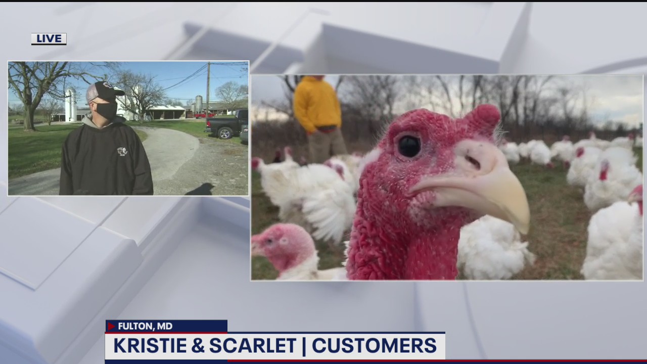 Sho Nuf Turkey Farm ready for Thanksgiving amid pandemic