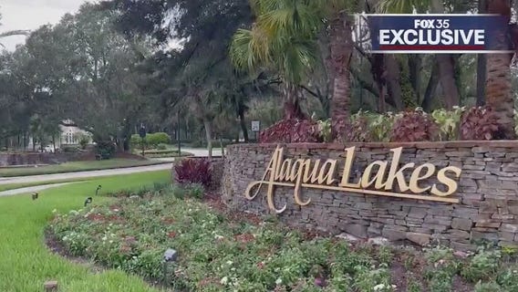 Dog recovers from surgery after bear attack