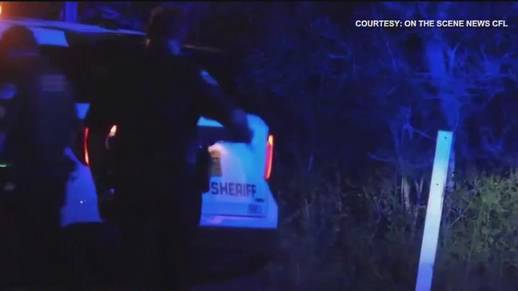 Florida man, 78, accused of killing neighbor