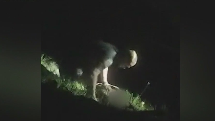 Deputies rescue crash victims from lake