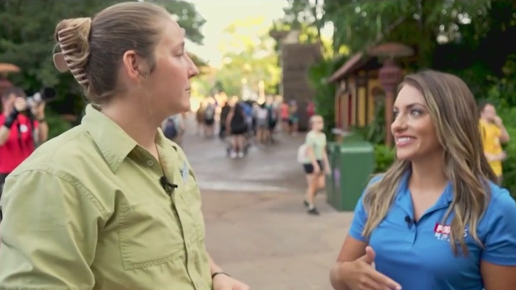 FOX 35 meets fur babies at Animal Kingdom
