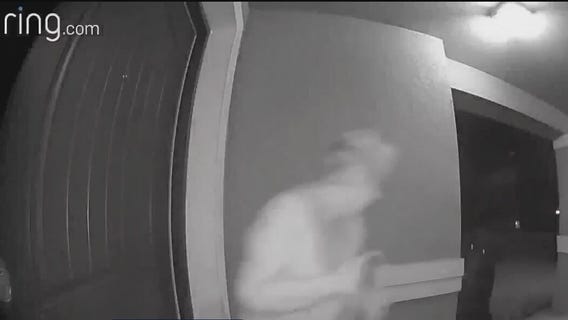 Bears getting comfortable in Central Florida