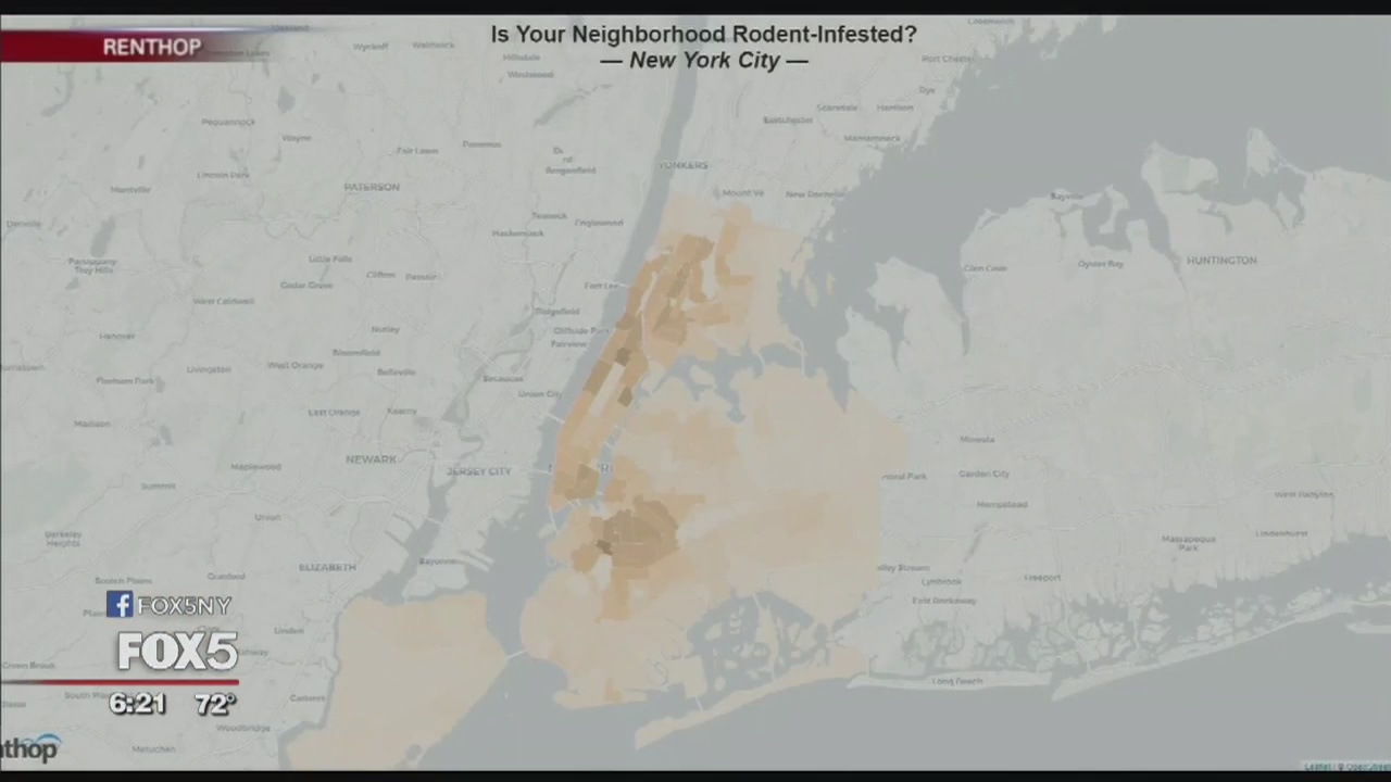 How many rats does your neighborhood have?