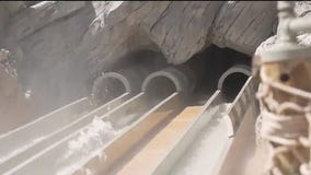 Woman sues Disney over injurious wedgie