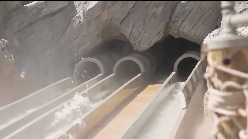 Woman sues Disney over injurious wedgie