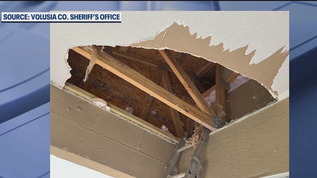 Fugitive found hiding in attic