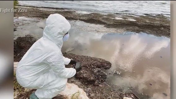 New concerns over Florida water quality